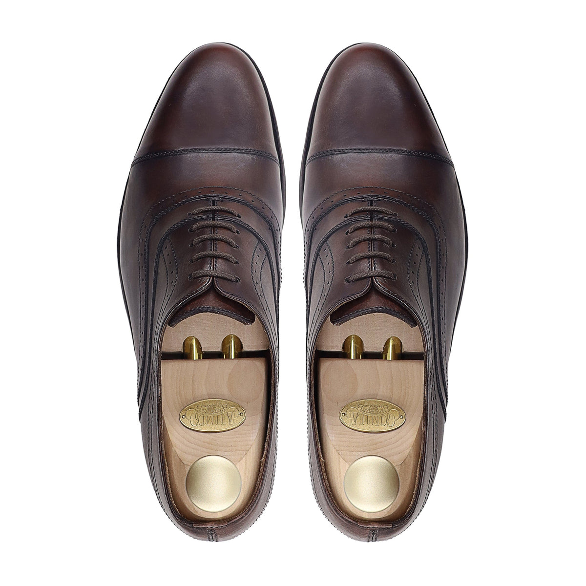 Donato - Men's Dark Brown Calf Leather Oxford Shoe
